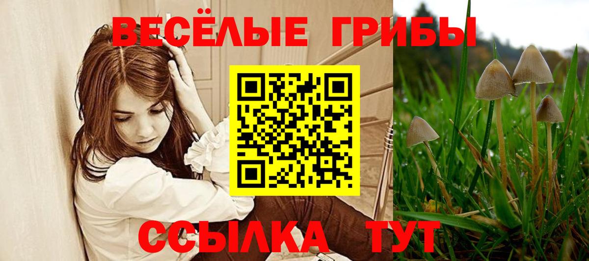 Псилоцибиновые грибы Psilocybe  Вход с VPN  Лабытнанги 