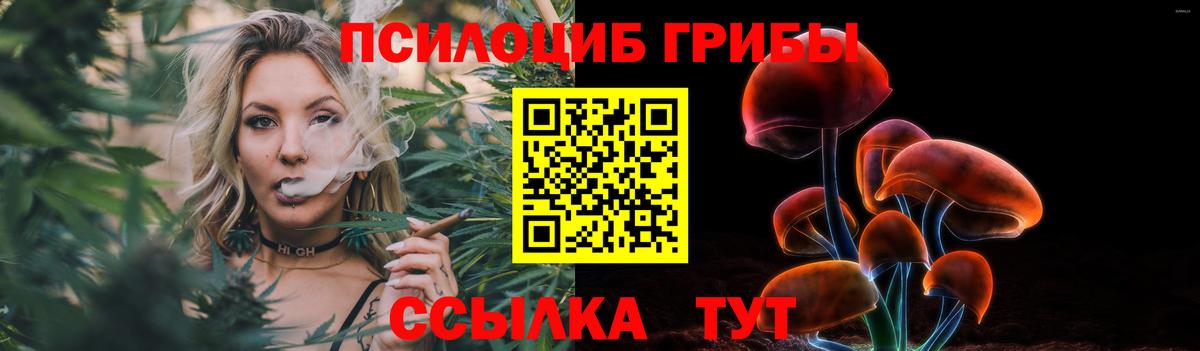 Галлюциногенные грибы Cubensis Лабытнанги